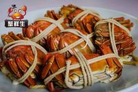 蟹鲜生阳澄湖大闸蟹 鲜活现货大闸蟹
