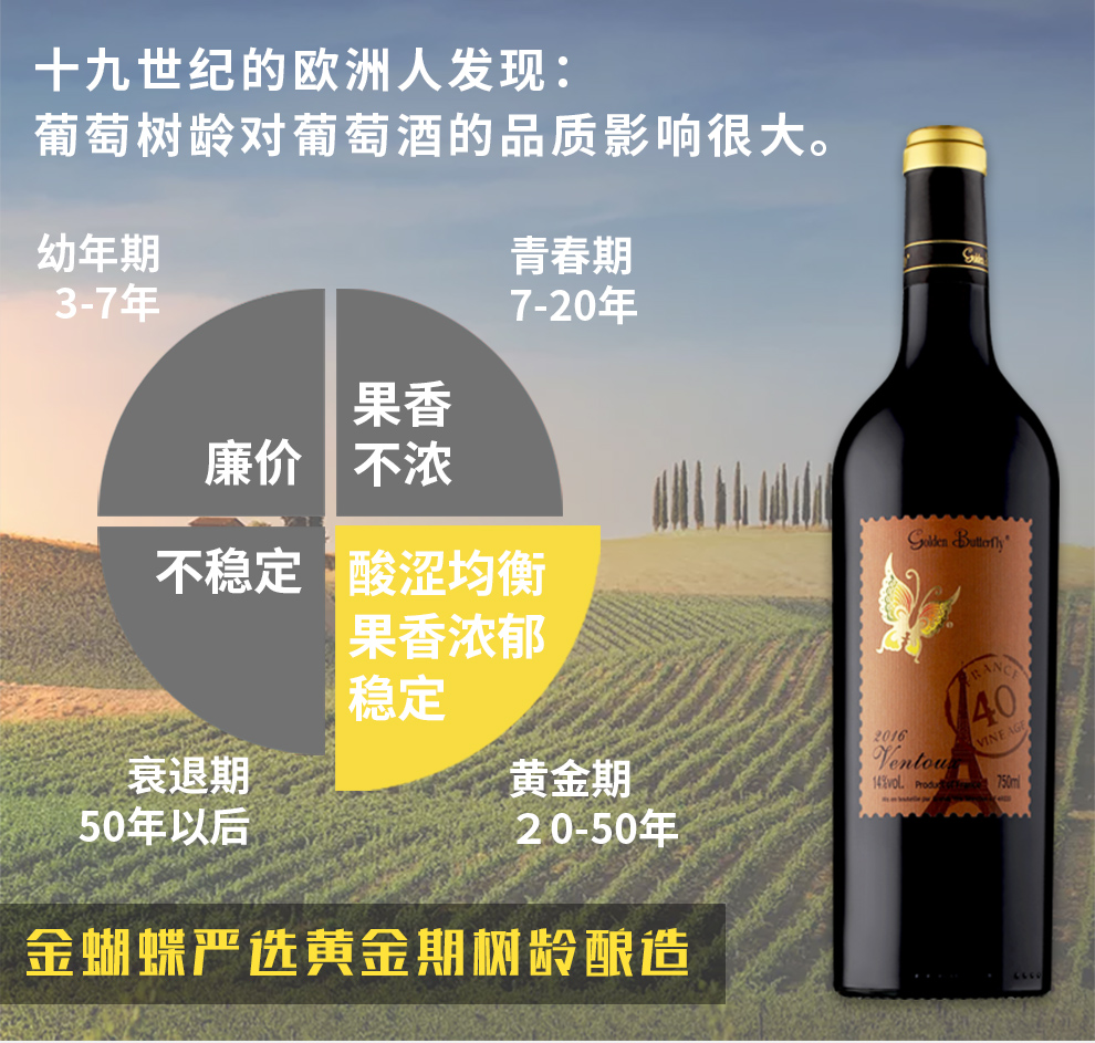 金蝴蝶40年树龄干红葡萄酒750ml6瓶箱